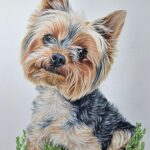 20241110 130757~2 (1)