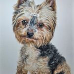 20241115 163933~2 (1)