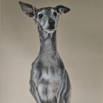 20241121 090634~4 (1)