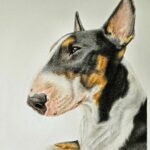 20250312 153239~2 (1)