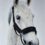 20250603 164331~2 (1)