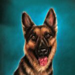 20251007 101435~3 (1)