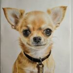 20260122 191538~2 (1)