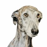 538d39f7 8a52 4f2b b4bf 961967bd9ecf