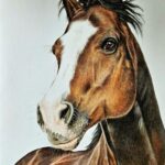 fb img 1737790447325~2 (1)