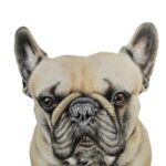 fb img 1741189085583 (1)