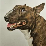 d83a2cf3399495716ab2e8b7f4431539 0 (1)