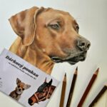 f772d632 4c41 4b16 a13c 5f1a31e3ce26